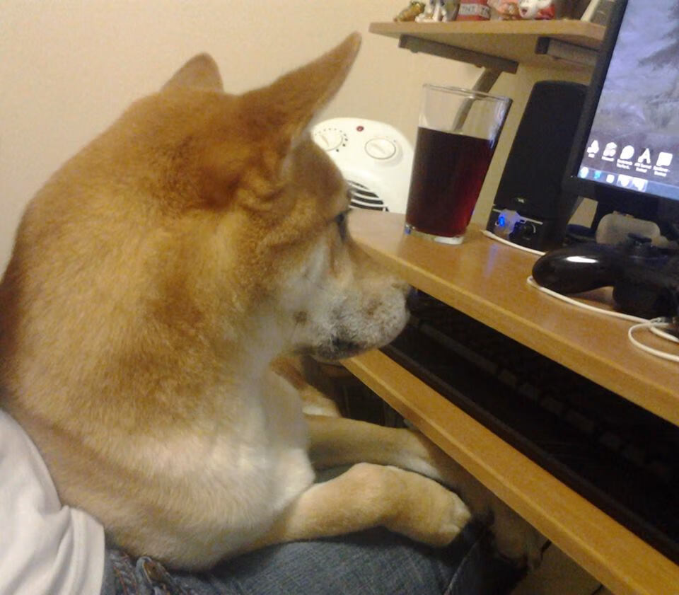 篮球公益训练营深入乡村学校普及篮球，暑期篮球训练营招生简章