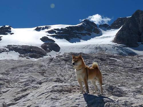 九游体育官方网站-青少年足球“技能+素养”双提升专项行动全面铺开，行业发展迈向新台阶