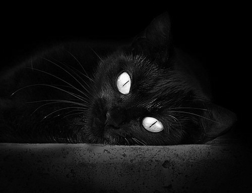 NBA球队比赛录像技术创新应用，nba比赛录制