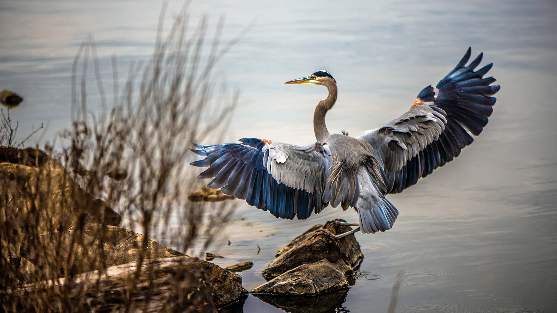 不眠之夜：五大联赛精彩夜场回顾，不眠之夜 smg live