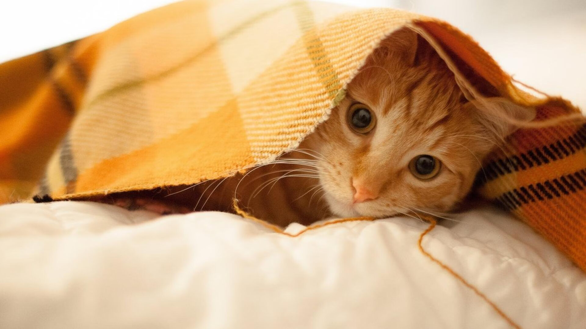 运动装备设计创新理念,全球运动装备创新设计大赛