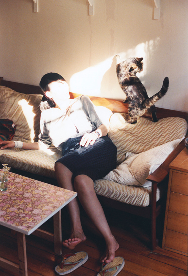 体育新闻中心上线智能体育赛事直播管理系统，体育赛事网络直播平台