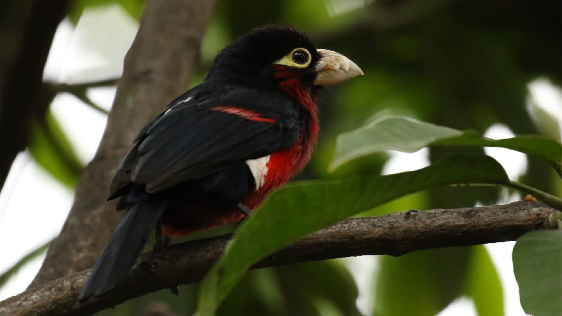 俱乐部建设理念缺乏长线思维，俱乐部发展存在的主要问题